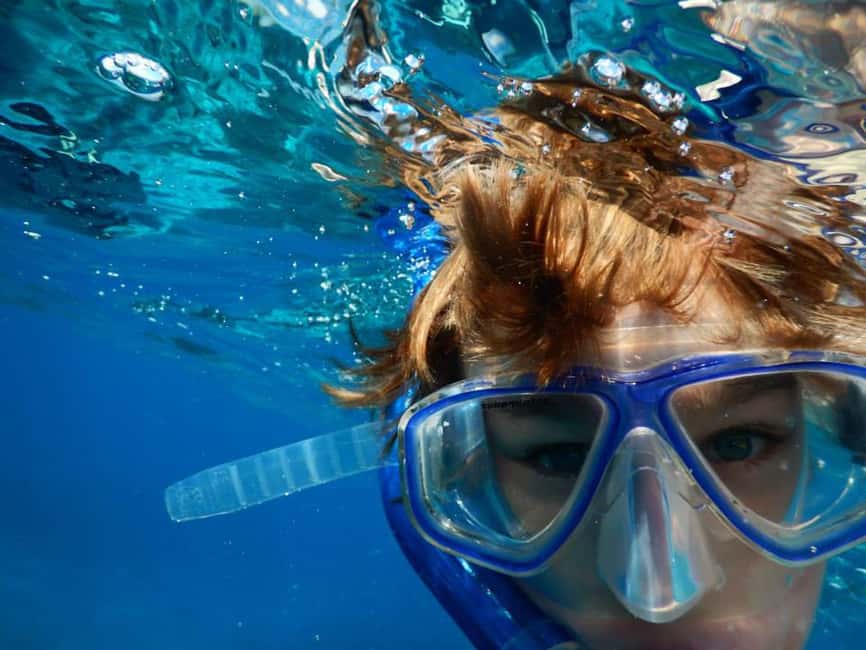 Miami Snorkeling for Beginners from Bayside Market Place - Key points to know before booking
