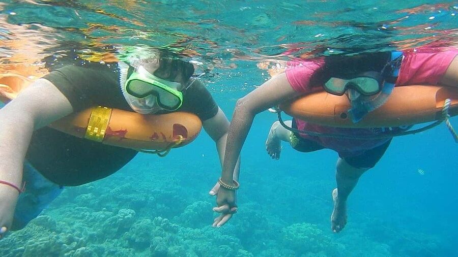 Miami Snorkeling for Beginners from Bayside Market Place - A short escape from Bayside Marketplace