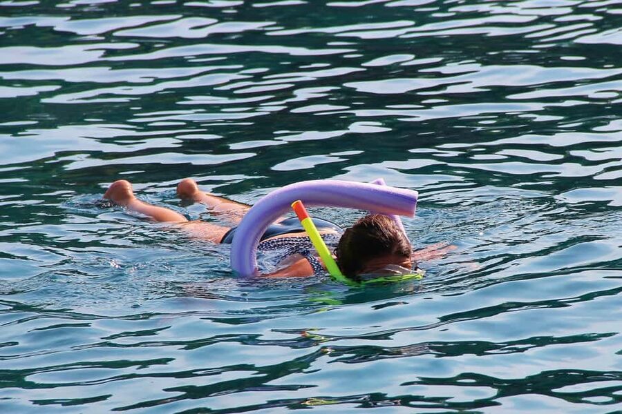 Miami Snorkeling for Beginners from Bayside Market Place - What the 1.5-hour schedule really means