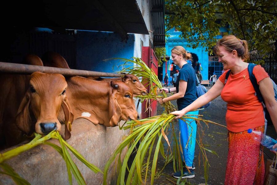 Mumbai: Local Markets & Temples Tour - Who will get the most from this tour?