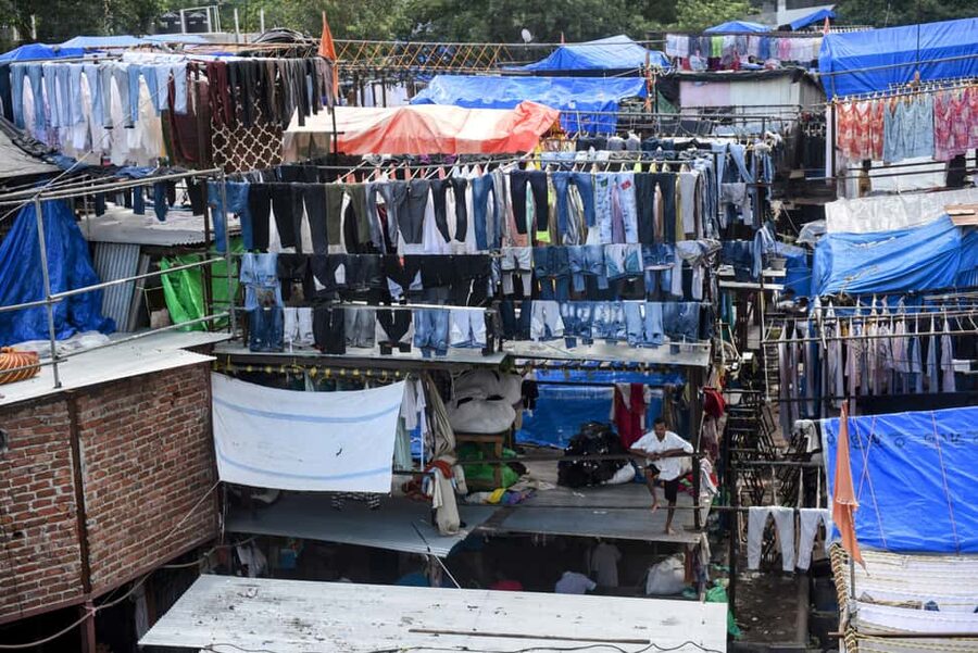 Mumbai Morning Market Tour of Flowers, Fish, and More - Is $19 Good Value?