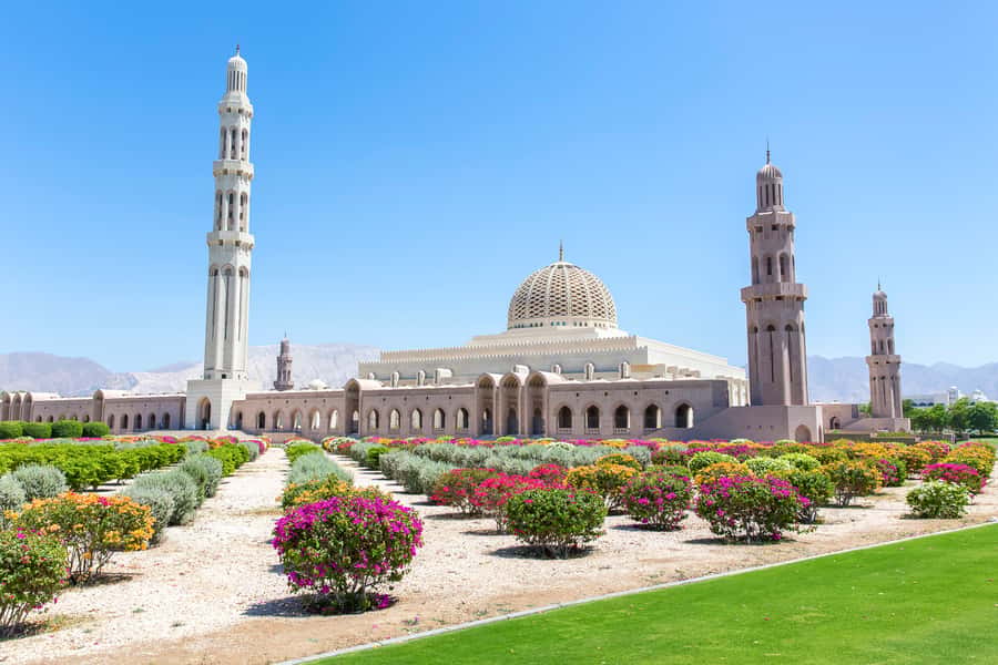 Muscat: City Tour of Grand Mosque, Old Souqs, Museum, & Fort - Al Alam Palace: a quick royal landmark