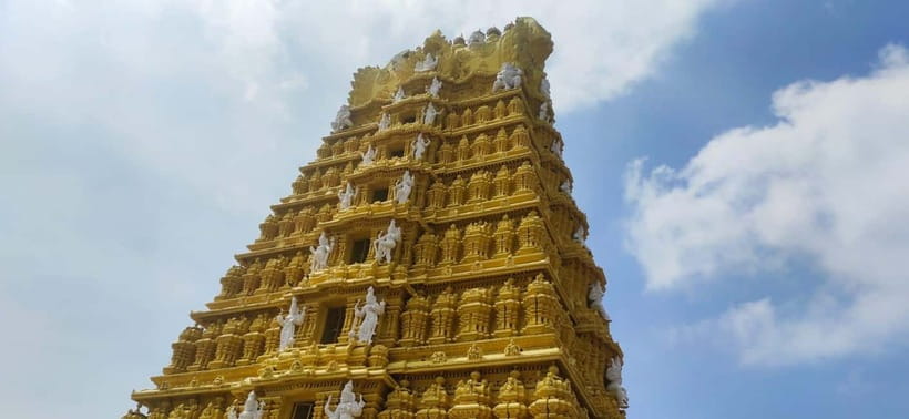 Mysore: Palace, Art Gallery & Devaraja Market Walking Tour - What the $49 price includes