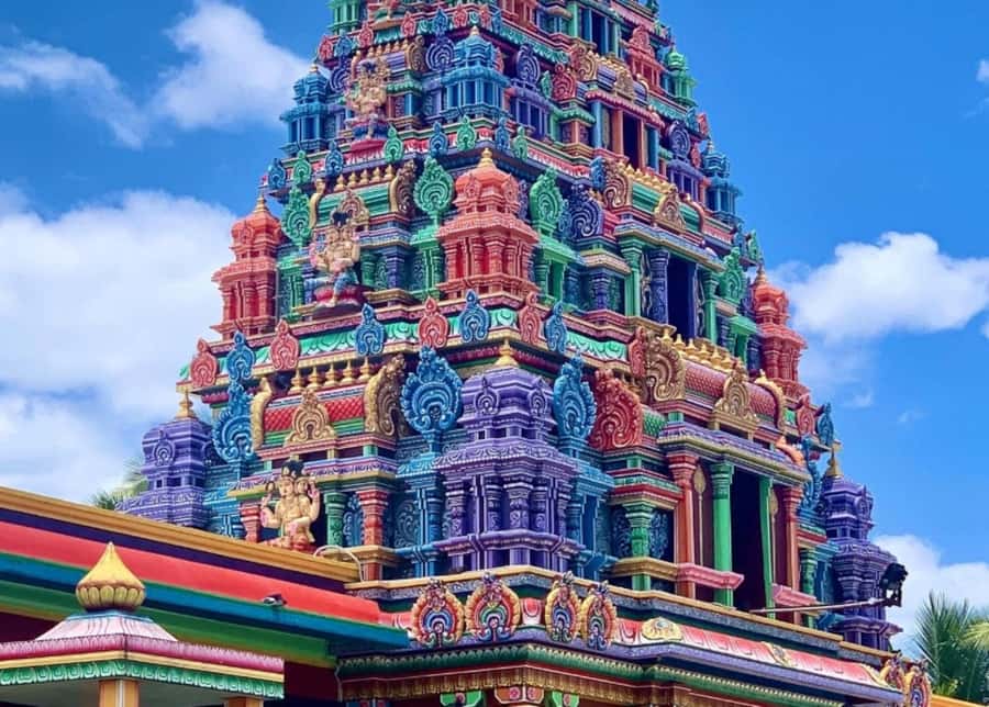 Nadi: Private Tour with Temple, Garden, Markets & Mud Pools - Who will get the most from this outing
