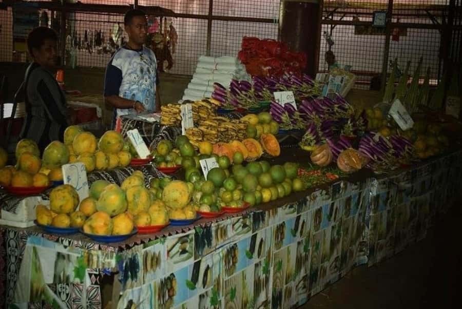 Nadi: Private Tour with Temple, Garden, Markets & Mud Pools - Practical advice before you go