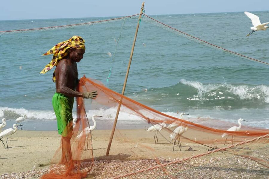 Negombo Private Tour: Market, Temples & Canal - Sri Singama Kali Amman Kovil