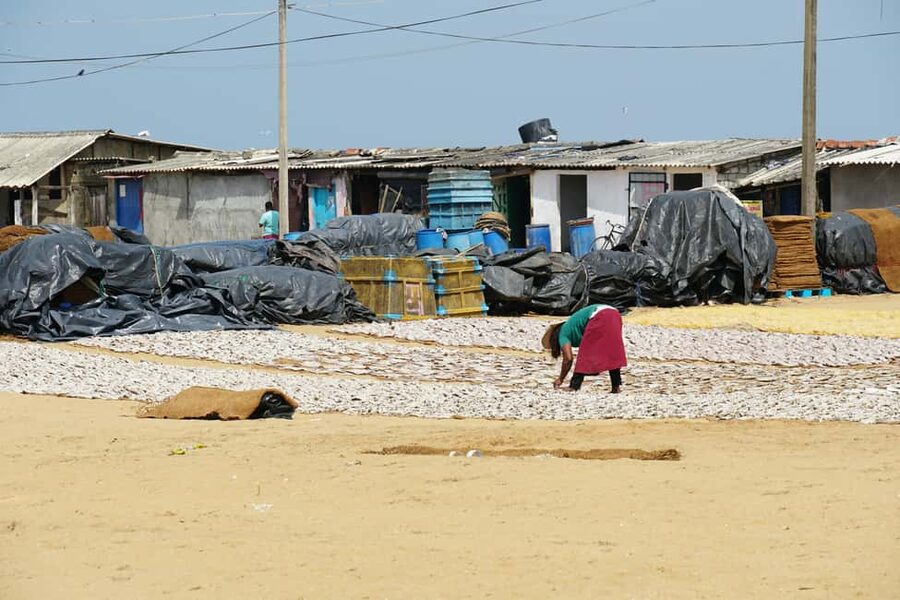 Negombo Private Tour: Market, Temples & Canal - The fish market and dry fish processing area