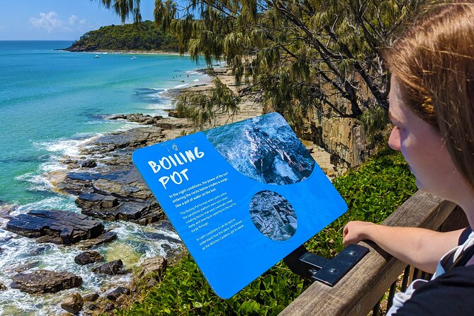 Noosa, Eumundi Markets, Glass House Mountains from Brisbane - Key points to know before booking