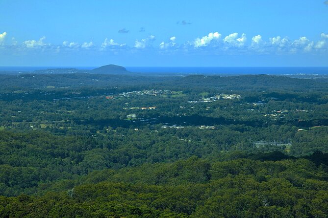 Noosa, Eumundi Markets, Glass House Mountains from Brisbane - Eumundi Markets: the day’s best browsing stop