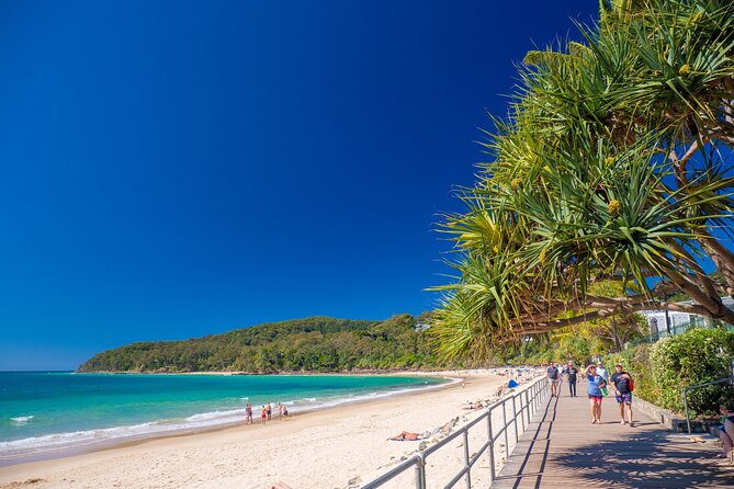 Noosa Heads and Eumundi Markets Private Tour from Brisbane - Key points to know before booking