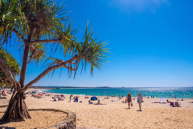 Noosa Heads and Eumundi Markets Private Tour from Brisbane - Coolum Lows Lookout and the wider coast