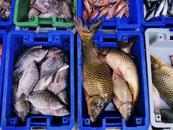 Noryangjin Fish Market Dinner - Key points to know before booking