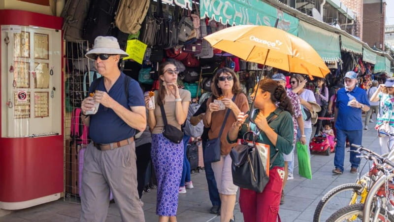 Oaxaca: Food and Markets Tour - Who should book this Oaxaca food tour?