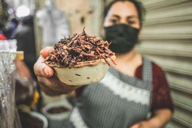 Oaxaca Markets Food Tour - What the $87 price includes