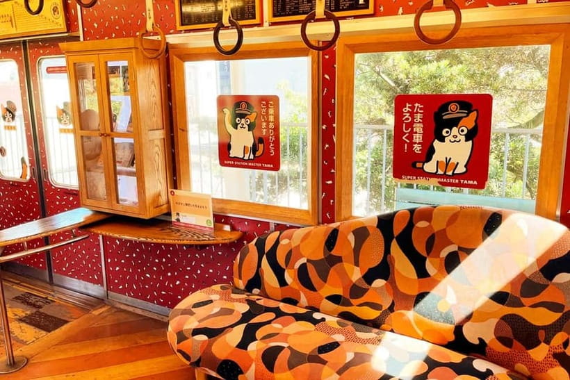 Osaka: Wakayama Cat Train, Seafood market, Hot Springs Tour - The best parts of the day