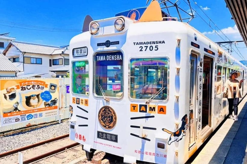 Osaka: Wakayama Cat Train, Seafood market, Hot Springs Tour - From Nipponbashi to the Wakayama countryside