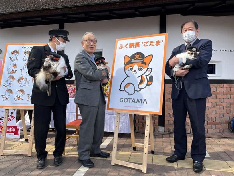 Osaka: Wakayama Cat Train, Seafood market, Hot Springs Tour - What to expect on the cat train