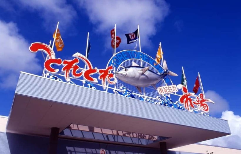 Osaka: Wakayama Cat Train, Seafood market, Hot Springs Tour - The long ride back to Osaka