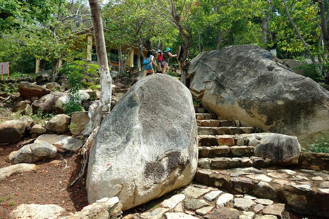 Palma Sola Secrets Petroglyphs Culture & Market Flavors withLunch - Key things to know before booking