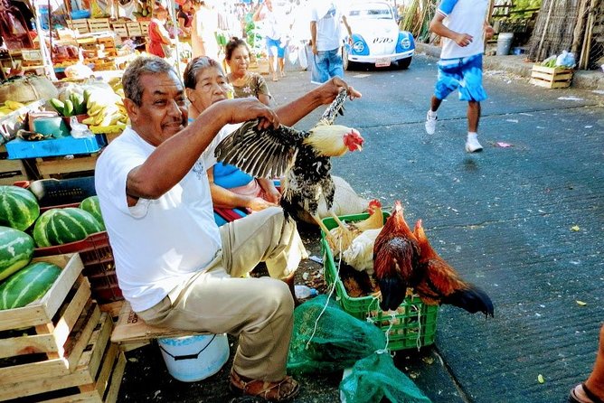 Palma Sola Secrets Petroglyphs Culture & Market Flavors withLunch - Transport, pickup, and the value of a small group