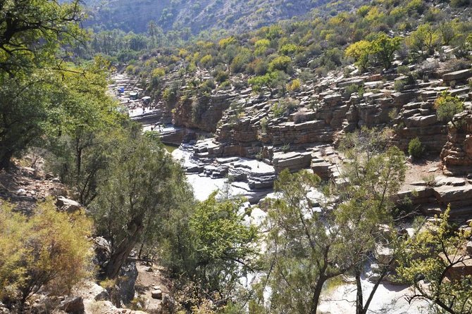 Paradise Valley excursion + local Breakfast + berber Market - Why This Four-Hour Trip Works