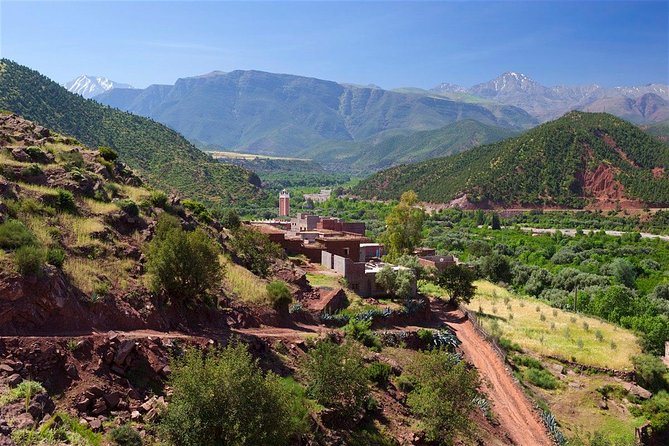 Paradise Valley excursion + local Breakfast + berber Market - Berber Breakfast With Amlou, Honey, and Argan Oil