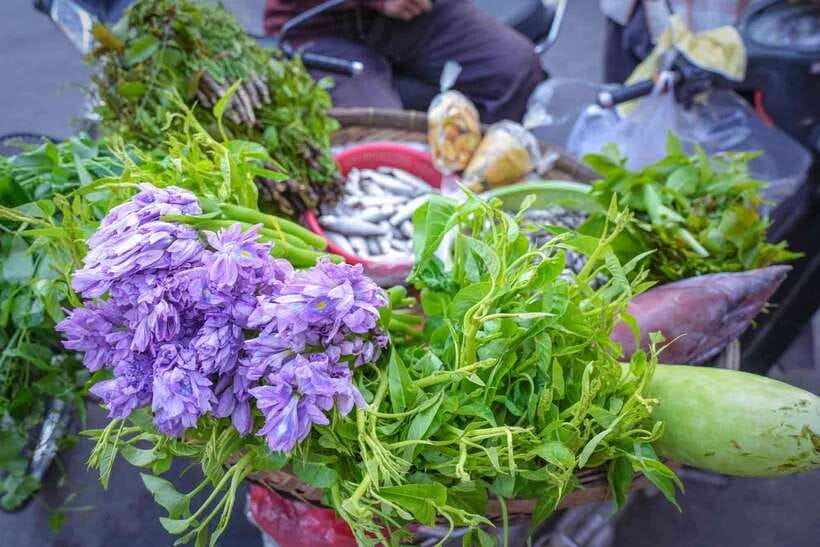 Phnom Penh: Morning Market & Guided Breakfast Tour by Tuktuk - Finishing with National Barista Gold Medal coffee