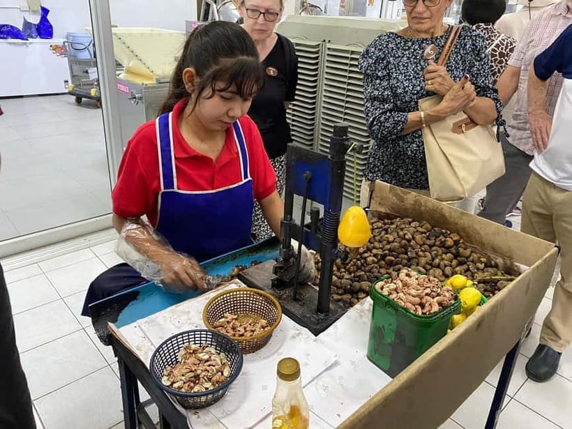 Phuket City Tour with Night Market Visit & Elephant Feeding - A packed introduction to Phuket beyond the beach