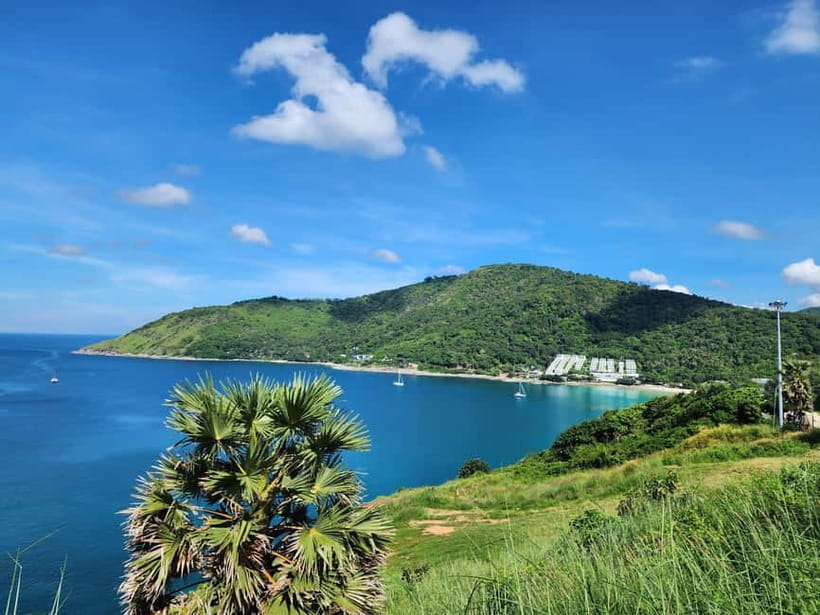 Phuket City Tour with Night Market Visit & Elephant Feeding - Khao Rang Hill and the monkey encounter