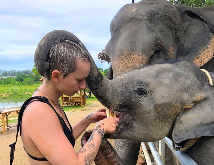 Phuket City Tour with Night Market Visit & Elephant Feeding - Two viewpoints, two different looks at the coast