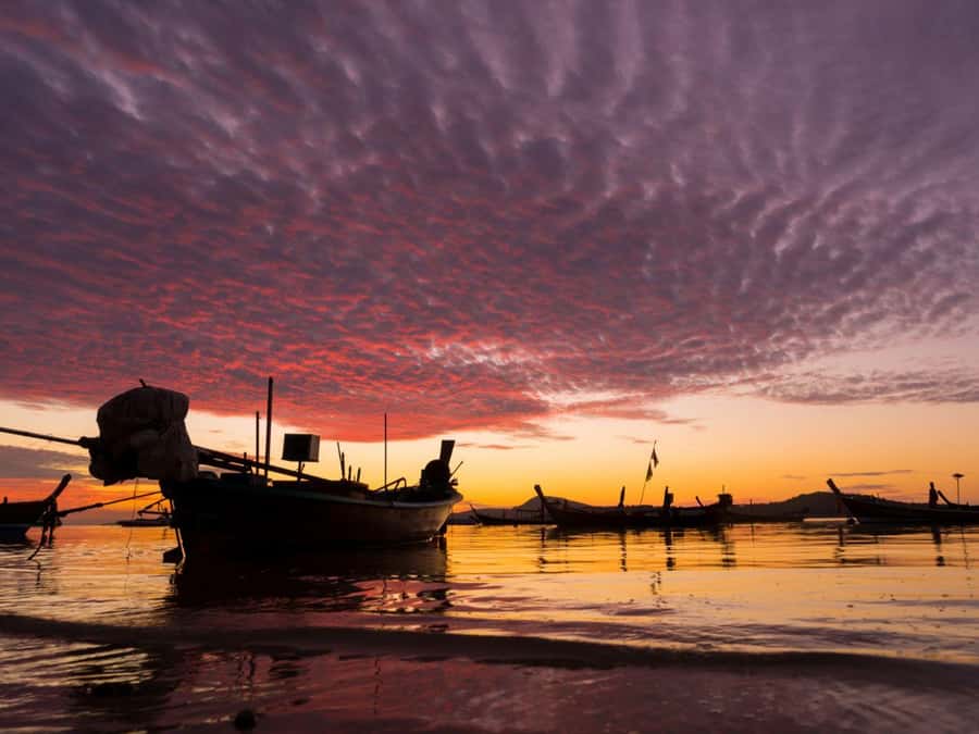 Phuket: Sunset View and Seafood Market Dinner Guided Tour - Your market choices become a local-style dinner