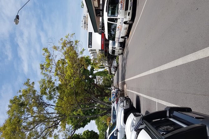 Port Douglas Sunday Markets Day Tour - Flagstaff Hill and Rex Lookout