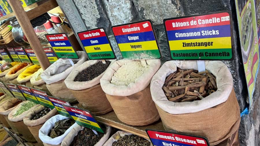 Port Louis Market, Botanical Garden -Northern Mauritius Tour - Caudan Waterfront, Chinatown, and Fort Adelaide