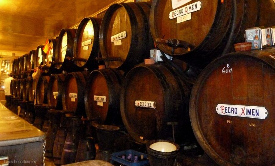 PREMIUM TAPAS TOUR: Paella, Market Tastings, and Winery - Who should book this experience