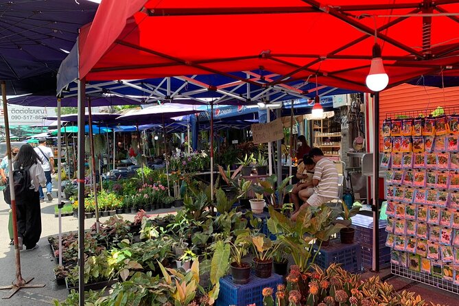 Private Exclusive Guided Chatuchak Weekend Market Shopping Tour - The lunch question needs a clear answer