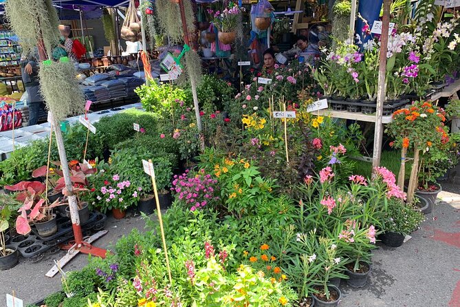 Private Exclusive Guided Chatuchak Weekend Market Shopping Tour - What the $90.25 price really buys