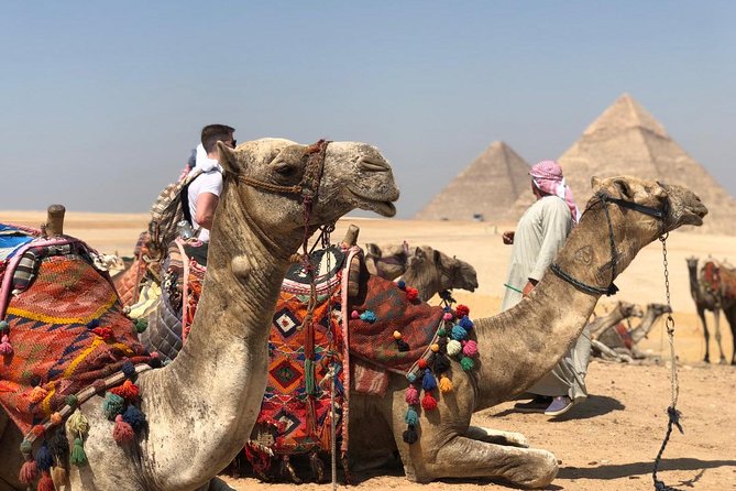 Private Full-Day Giza Pramids, Sphinx, Egyptian Museum& Bazaars From Cairo - Meeting the Great Sphinx and Valley Temple