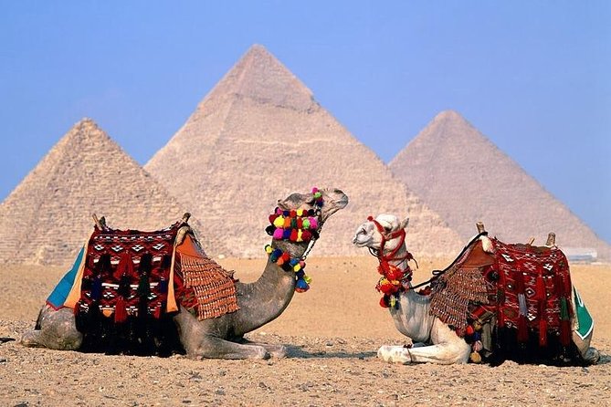 Private Full-Day Giza Pramids, Sphinx, Egyptian Museum& Bazaars From Cairo - What is included, and what is not