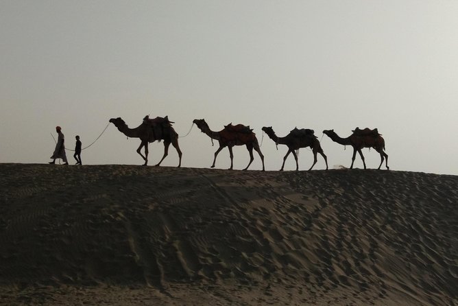 Private Heritage Walking Tour in Jaisalmer Fort and Old Bazaar - Jain temples and the fort’s quieter details