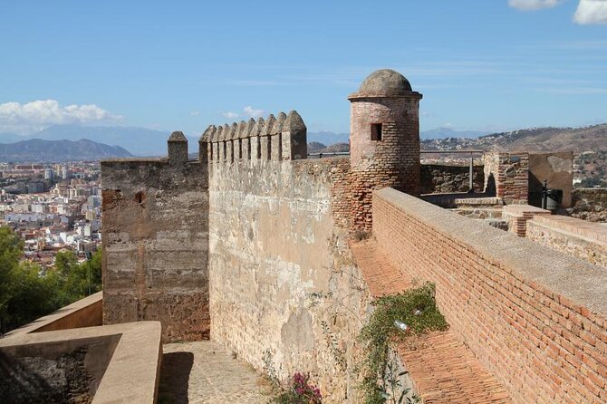 Private Malaga: Alcazaba, Museum, Market, Cathedral & Picasso - Key points to know before you book