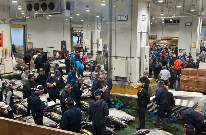 Private Toyosu & Tsukiji Market Adventure with Tuna Auction - The 5 a.m. start and getting to Toyosu
