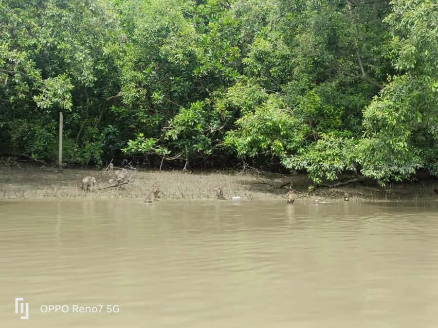 Private Unseen Mangrove Forest and Floating & Railway Market - Leaving Bangkok for Thailand’s coastal waterways