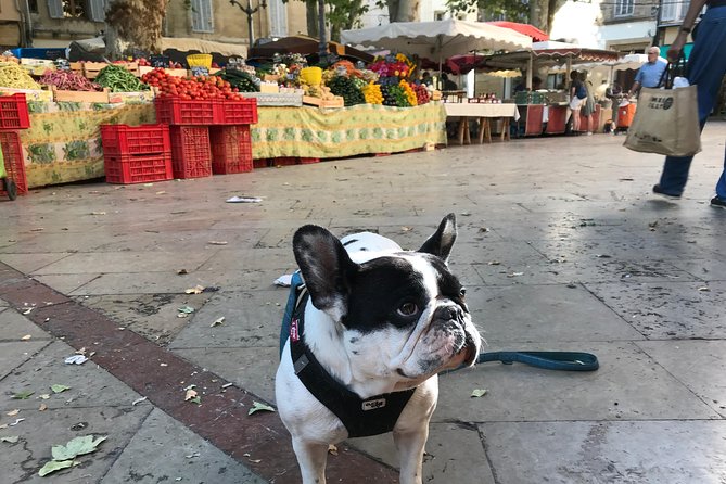 Provençal Farmers market tour - Who should book this Aix market tour?