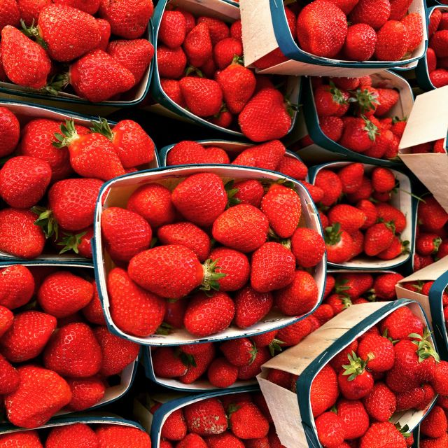 Provencal Market Walking Tour with Tastings - How the $41 price holds up