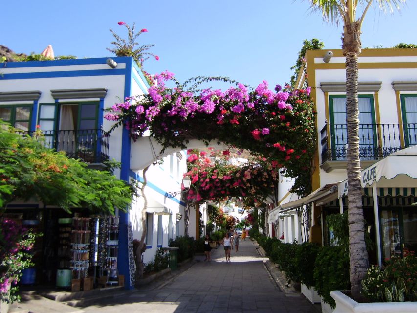 Puerto de Mogan: Friday Market Experience - Key points to know before booking