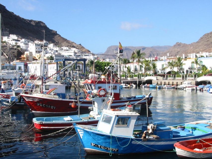 Puerto de Mogan: Friday Market Experience - Who should choose this Puerto Mogán outing?