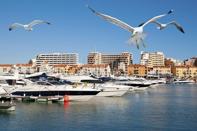 Quarteira Town & Gypsy Market Tour with Beach Bliss - Key points to know before booking