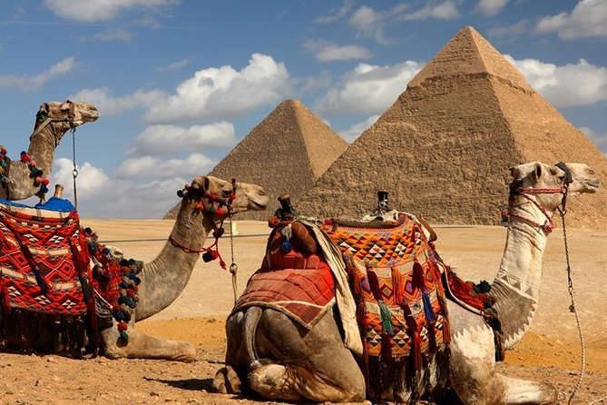 Quick Cairo Layover to Giza Pyramids, Museum, Bazaar from Airport - Khan el Khalili Bazaar after the monuments