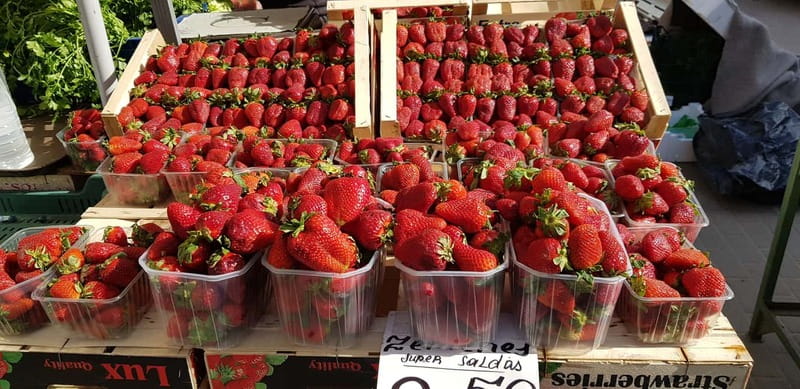Riga: Central Market Latvian Food Tour - Who should book this food tour?