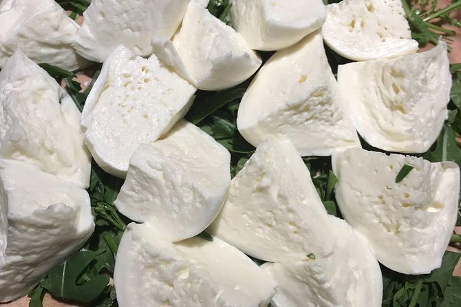 Roman Food Tour with Visit to the Trionfale Food Market - La Nicchia’s gourmet tasting: vinegar, truffles, and cheese